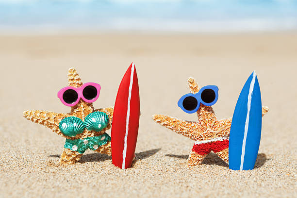 Couple Vacationing and Surfing in Tropical Beach Paradise Hz "Subject: A starfish couple having a summer beach vacation on the tropical paradise beach of Hawaii.Location: Kauai, Hawaii, USA." starfish sunglasses stock pictures, royalty-free photos & images