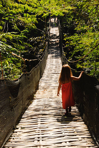 Bamboo bridge Five years old baby girl walking on a bamboo bridge in Laos, Asia. bamboo bridge stock pictures, royalty-free photos & images