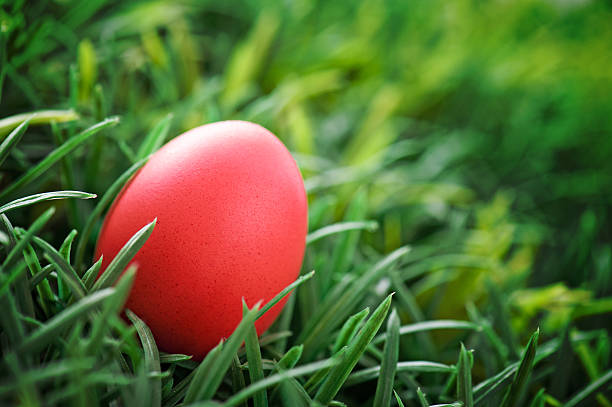 ovo de páscoa de vermelho - easter eggs red imagens e fotografias de stock