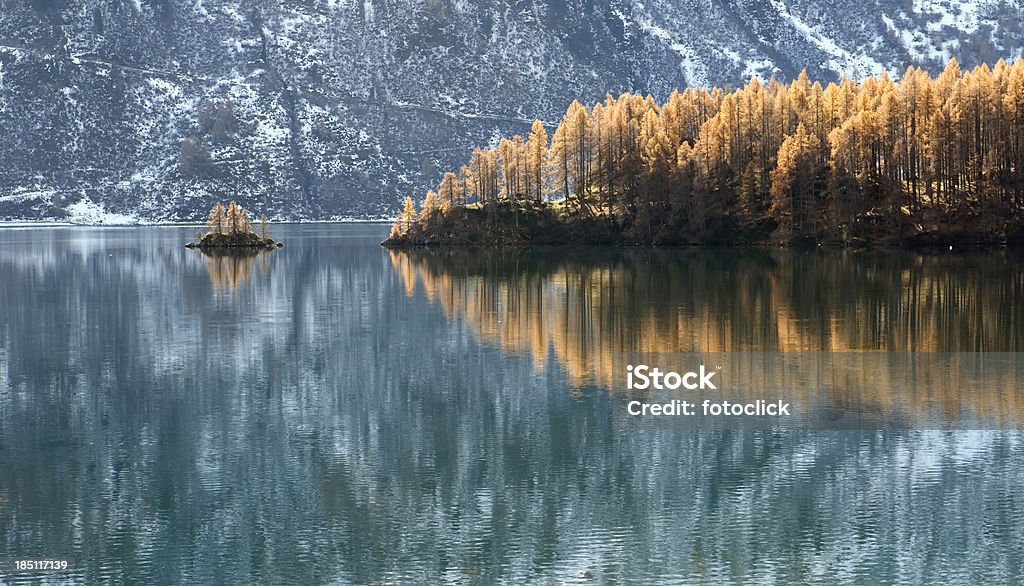 Lago Silvaplana perto de St. Moritz - Foto de stock de Lariço-comum royalty-free