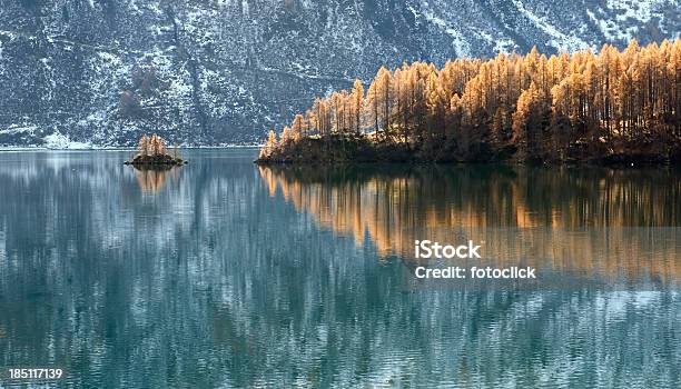 Foto de Lago Silvaplana Perto De St Moritz e mais fotos de stock de Lariço-comum - Lariço-comum, Alpes europeus, Alpes suíços