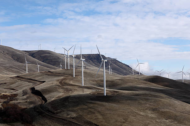 istock Wind Turbine Farm 185117504