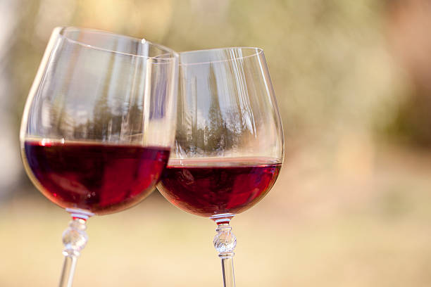 Glass  of red wine on a table with grapes and dried up vine leaves .