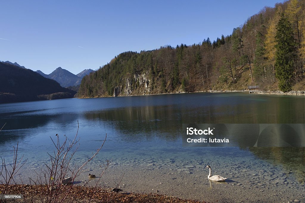 lake in the Alps - Стоковые фото Австрия роялти-фри