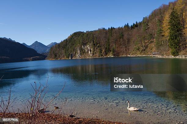 Lake In The Alps — стоковые фотографии и другие картинки Австрия - Австрия, Вода, Волна