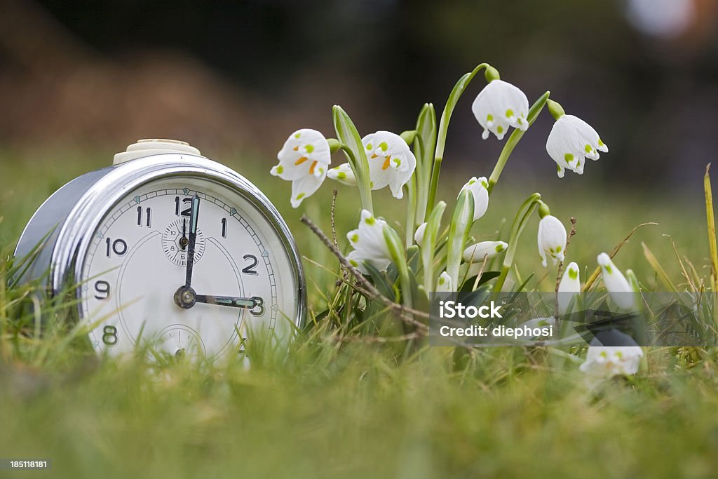 La primavera en el jardín - Foto de stock de Flora libre de derechos