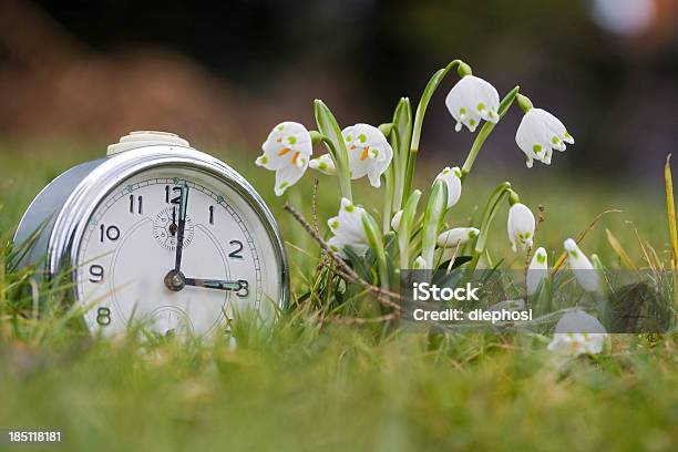 La Primavera En El Jardín Foto de stock y más banco de imágenes de Flora - Flora, Reloj, Horario de verano