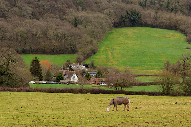 istock English landscape in the Blackdown Hills, Somerset 185118211