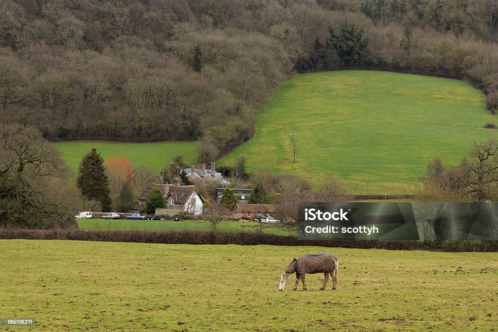 English landscape in the Blackdown Hills, Somerset "English landscape in the Blackdown Hills near the village of  Blagdon Hill,  Taunton, Somerset" Rural Scene Stock Photo