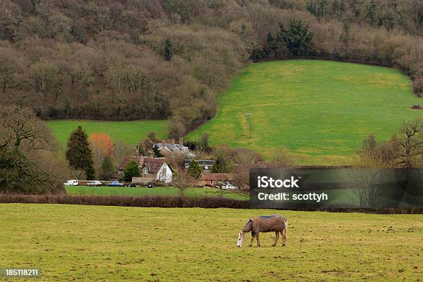 English Landscape In The Blackdown Hills Somerset Stock Photo - Download Image Now - Rural Scene, Somerset - England, Taunton - Somerset