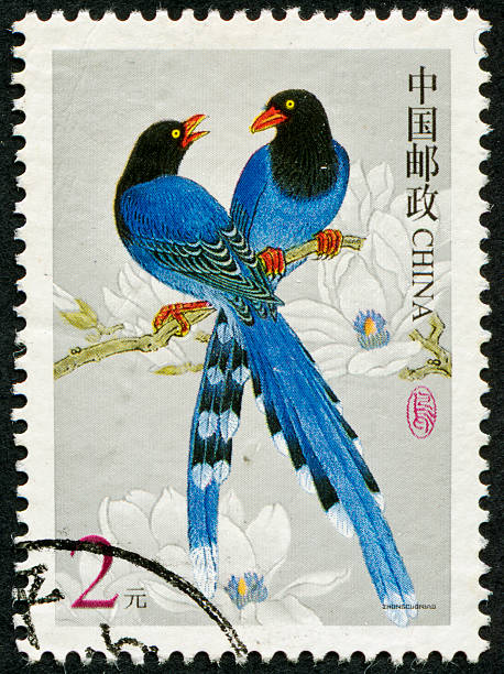 istock Formosan Blue Magpie Stamp 185118269
