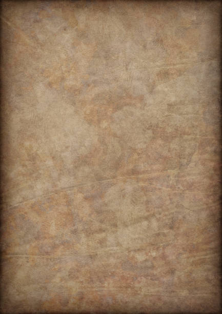 istock High Resolution Ancient Animal Skin Parchment Mottled Vignette Grunge Texture 185118653