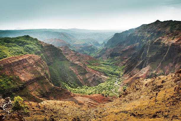 puu hinahina lookout de waimea canyon de kauai havai hz - waimea canyon state park imagens e fotografias de stock