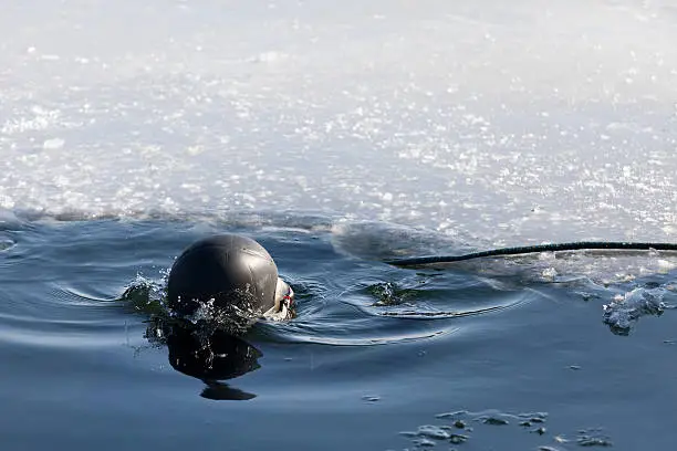 Photo of Diver submerged in an ice hole