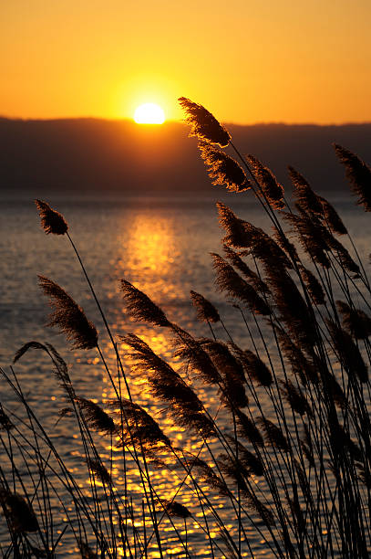 istock Sunset on Bolsena Lake 185119110