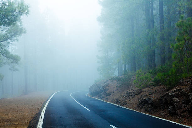 route dans la forêt à travers le brouillard, parc national de teide - asphalt two lane highway natural phenomenon fog photos et images de collection