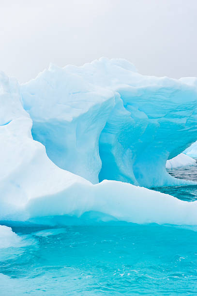 magnifique iceberg - iceberg antarctica glacier melting photos et images de collection