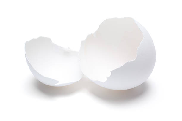 guscio d'uovo rotto aperto - guscio duovo foto e immagini stock
