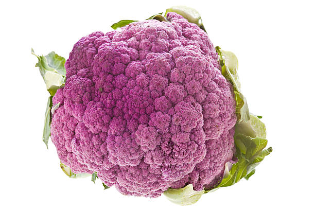 chou violet - purple cauliflower photos et images de collection