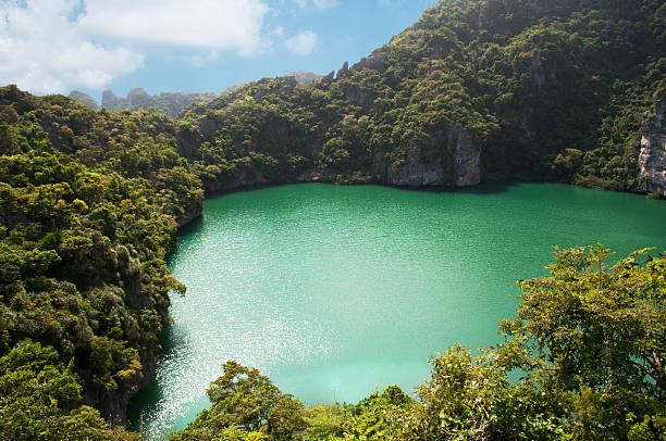 emerald lagoon - ang thong islands zdjęcia i obrazy z banku zdjęć