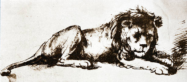 rembrandt lion 스케치 일러스트 - rembrandt stock illustrations