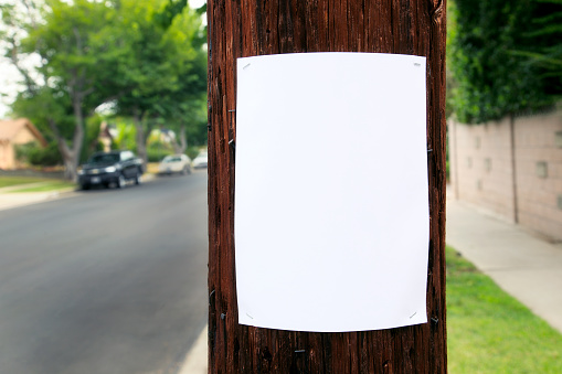 A blank poster stapled to a telephone pole on the side of the road.