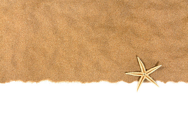 concetto di vacanza - starfish beach white shell foto e immagini stock