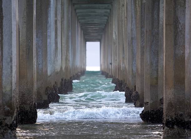 Under the Pier in La Jolla California