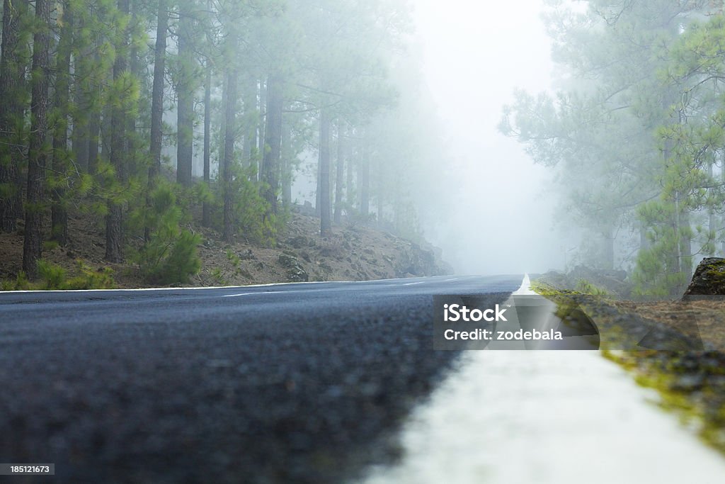 Mínima bosque carretera niebla, parque nacional de taide - Foto de stock de Calle libre de derechos