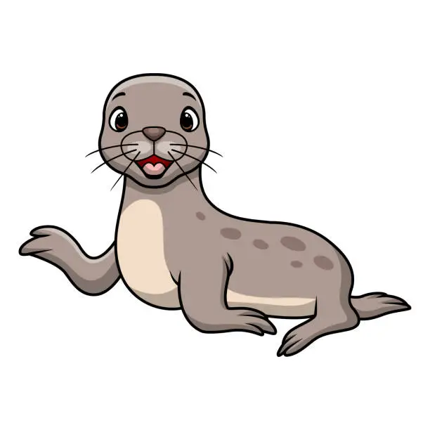 Vector illustration of Cute baby seal cartoon on white background