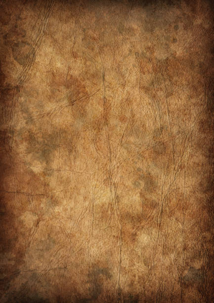 istock High Resolution Ancient Animal Skin Parchment Vignette Grunge Texture 185121761