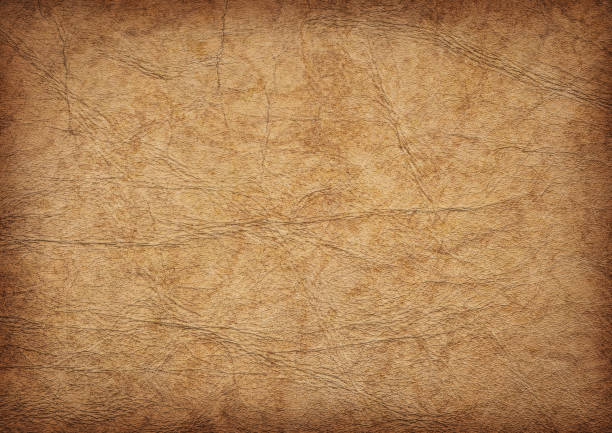 istock High Resolution Ancient Animal Skin Parchment Vignette Grunge Texture 185121847