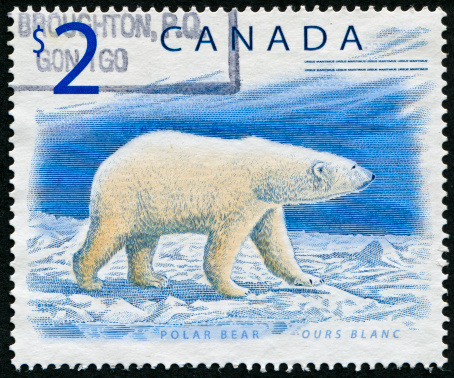 Cancelled Stamp From Canada Featuring A Polar Bear