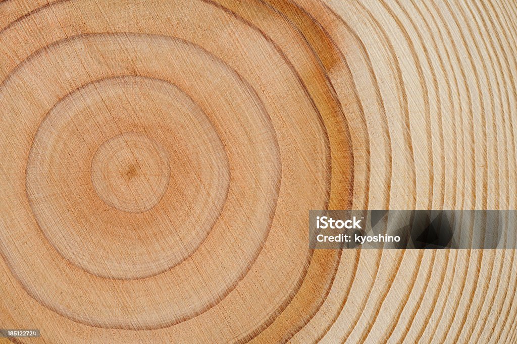 Textura de fondo de árbol de anillos - Foto de stock de Madera - Material libre de derechos