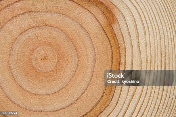 Tree Rings Texture Background Stock Photo - Download Image Now - Wood - Material, Nature, Textured