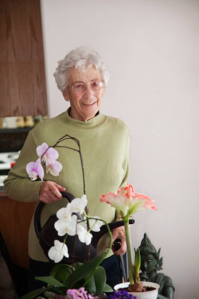 istock Cheerful Senior Watering Plants:  Assisted Living 185122876