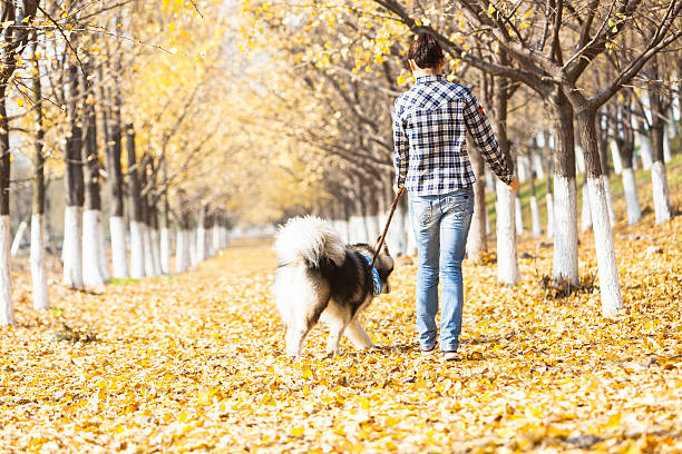 istock woman with dog outdoor 185122896