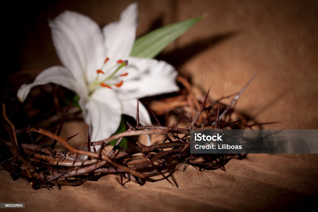 Giglio di Pasqua e la corona di spine - Foto stock royalty-free di Composizione orizzontale