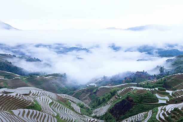 Clouds Around Yao Tribe Village "Clouds and fogs around the Yao tribe village,the forground are rice paddy field,Longsheng,Guilin,Guangxi,China." longji tetian stock pictures, royalty-free photos & images