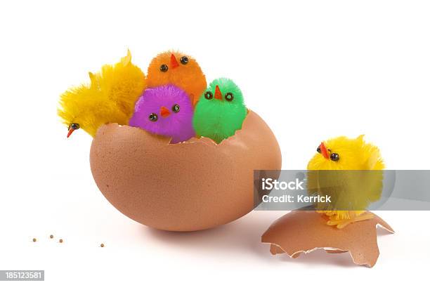Bunte Chicks Blick Auf Ein Easter Egg Stockfoto und mehr Bilder von Genforschung - Genforschung, Tier, Bizarr
