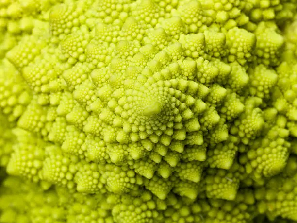 "organic romanesco cauliflower, beautiful background"