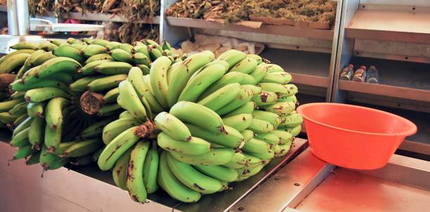 istock Bananas for sale 1851240966