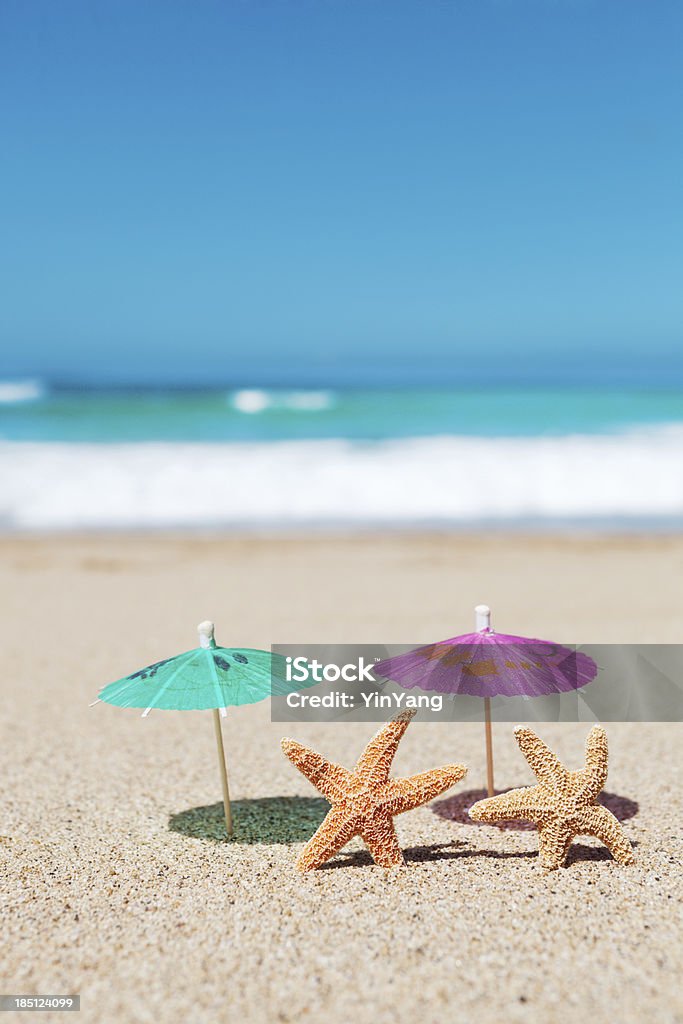 불가사리류 커플입니다 탁월한 열대 파라다이스 해변 Vt - 로열티 프리 개념 스톡 사진