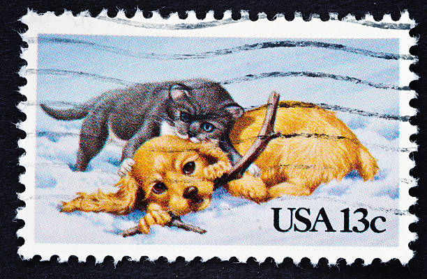 istock Puppy and Kitten in the Snow Stamp 185124474