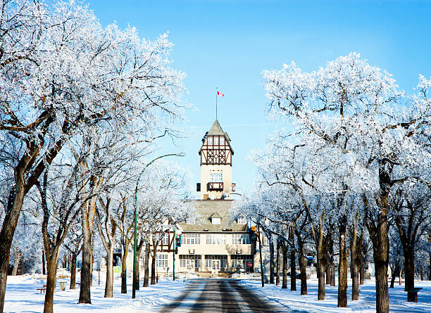 assiniboine park pavillon winnipeg - winter landscape canada branch stock-fotos und bilder