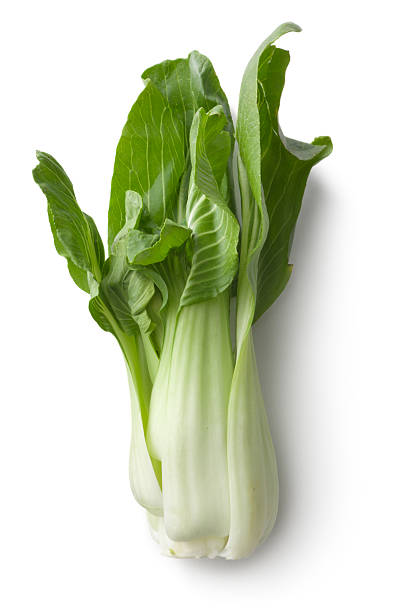 gemüse: bok choy - chinesischer senfkohl stock-fotos und bilder