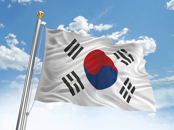 istock Waving South Korea flag 185124730