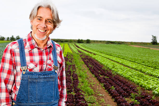 istock farmer standing in front of his field 185124817
