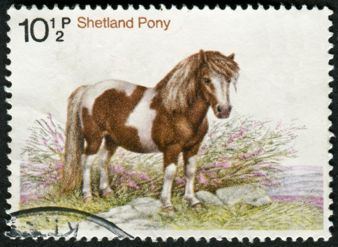 Cancelled Stamp From England Featuring The Shetland Pony