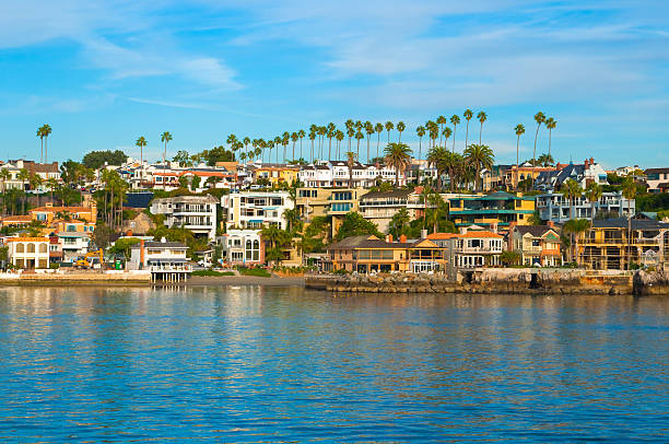 Newport Beach houses and bay Newport Beach houses and palm trees on a bluff with Newport Bay in the foreground. newport beach california stock pictures, royalty-free photos & images